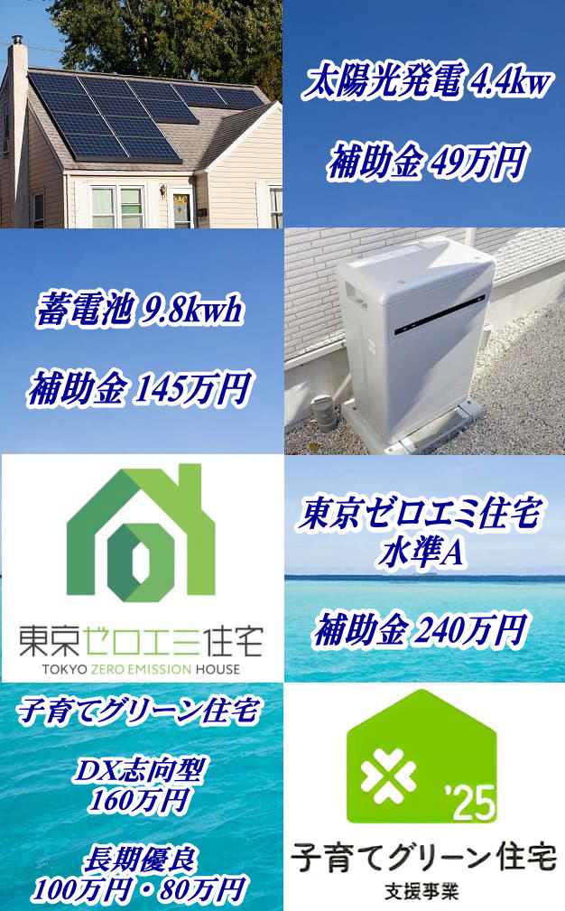 東京ゼロエミ